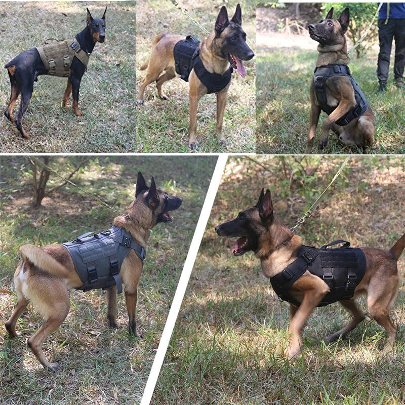 Tactical Dog Harness Military. P - Two Brothers DIY Store