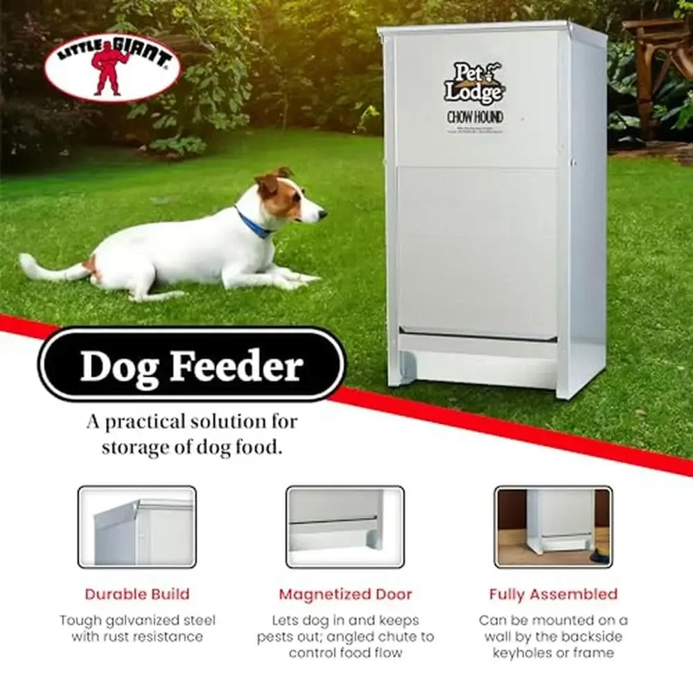 Automatic Dog Feeder Pack of 2. - Two Brothers DIY Store